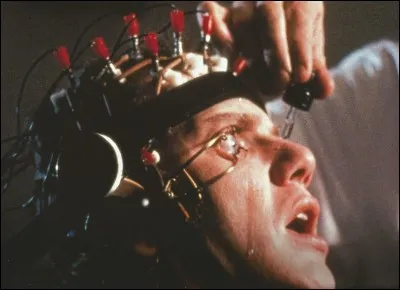 Quel fruit peut être bigarade ?