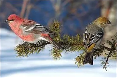 Nom donné en Méditerranée à un bassin d'un port :