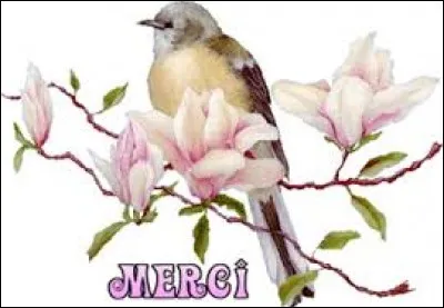 Synonyme de ''divinité'' :