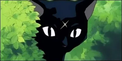 Dans "School Rumble", à qui appartient Iori ?