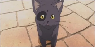 Dans quel anime aperçoit-on ce chat, nommé Arthur ?