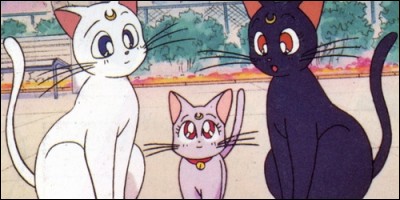 Dans "Sailor Moon", lequel d'entre eux est le chat de Sailor Vénus ?