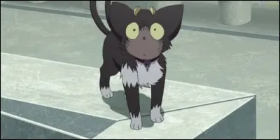 Dans "Blue Exorcist", Kuro est :