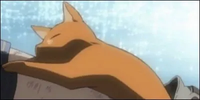 Dans quel anime Kyo Sohma se transforme en chat dès qu'il est en contact avec une fille ?