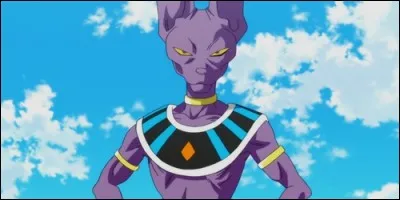 Qui est Beerus dans "Dragon Ball Super" ?