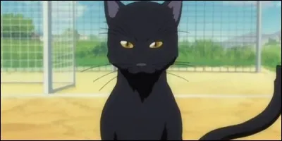 Dans "Bleach", Yoruichi est l'ancien capitaine de :