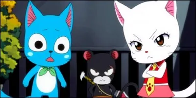 Dans "Fairy Tail", Les Exceeds Happy, Carla et Panther Lily viennent :