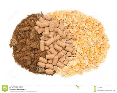 De combien de repas en moyenne un cheval a-t-il besoin ?