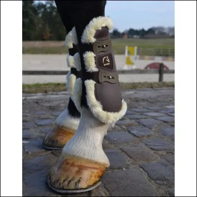 Quelles sont les protections de travail ci-dessus ?