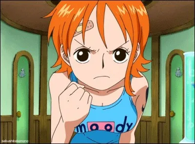 Avec qui Nami a-t-elle &eacute;t&eacute; &eacute;lev&eacute;e au village de Cocoyashi ?