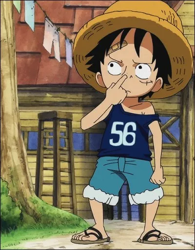 Quel jour Luffy est-il n&eacute; ?
