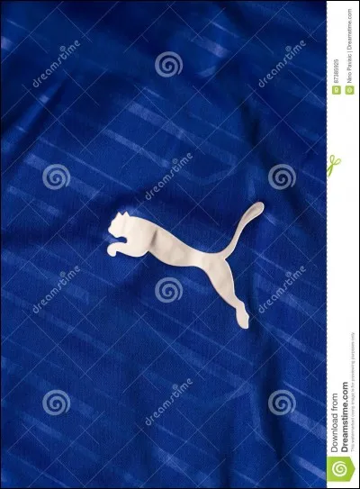 Quelle est cette marque ?