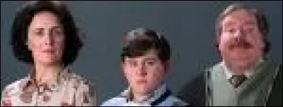 Comment est cette famille envers Harry ?