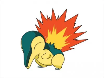 Quel est le nom de ce Pokémon ?