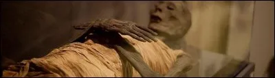 En 1999, deux réalisateurs remettent les films de momies à la mode.

Mais lequel des deux est intitulé "La Momie" ?