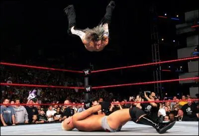 Quelle est cette prise ?