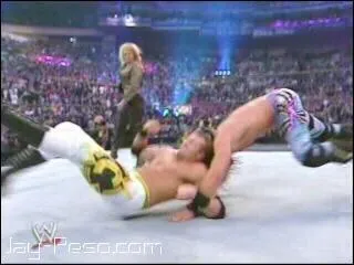 Quelle est cette prise ?