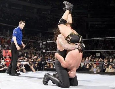 Quelle est cette prise ?