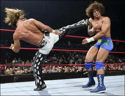 Quelle est cette prise ?