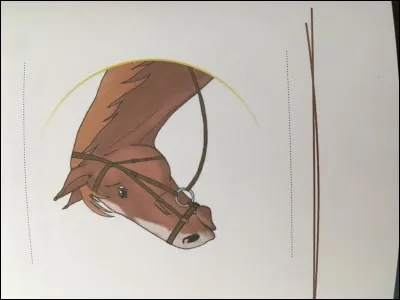 Comment s'appelle cette muserolle ?