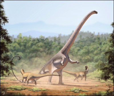 Quelle était la longueur du barosaurus ?