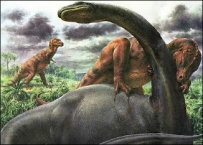 Le brontosaure mesurait et pesait :