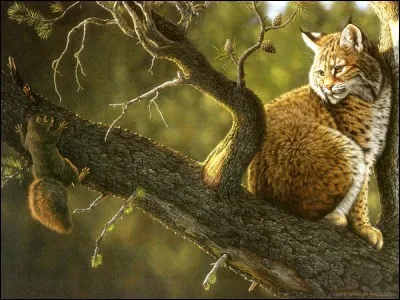 Regardez attentivement la photo, elle vous indique une action particulière, si vous trouvez, on pourra dire de vous que vous avez un oeil ...