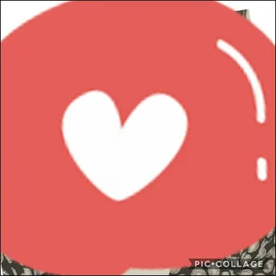 Qui est cette personne ?