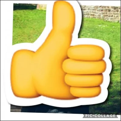 Qui est cette personne ?