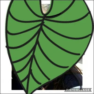 Qui est cette personne ?