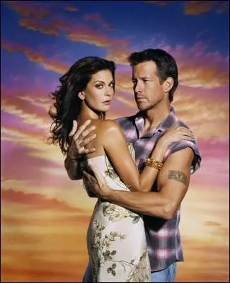 A quel moment Susan comprend-elle dans la saison3 que Mike s'extnue au travail pour lui offrir un mariage de rve?