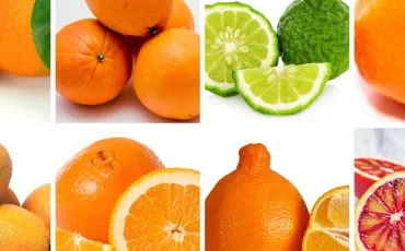 Quiz Fruits