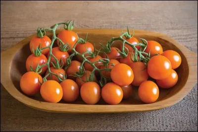 Dernière question : comment s'appelle la race hybride de la mandarine et de l'orange ?