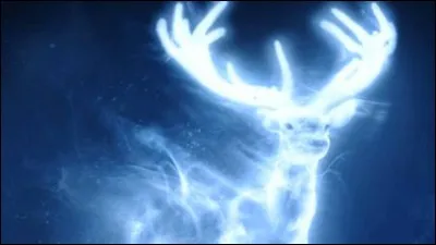 Quel est le patronus de Ron ?