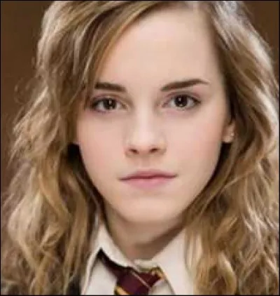 Quel est le travail d'Hermione ?