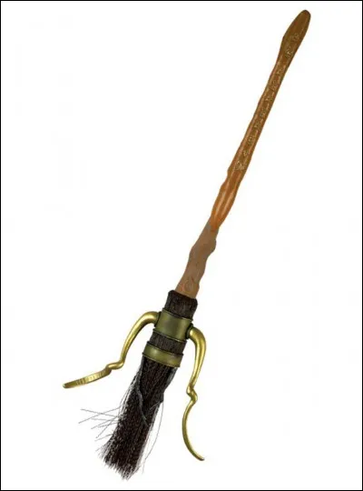 Aimera-t-il le quidditch ?