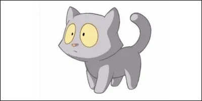 A qui appartient cet adorable chaton ?