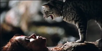 A quelle héroïne ce mau égyptien, nommé Minuit, est-il associé ?