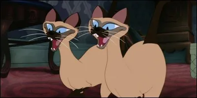 Dans "La Belle et le Clochard", Si et Am sont :