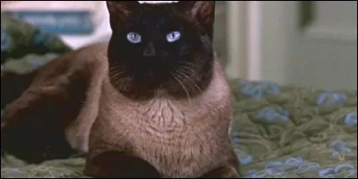 Comment se nomme ce témoin dans une affaire de séquestration dans le film "L'Espion aux pattes de velours" ?