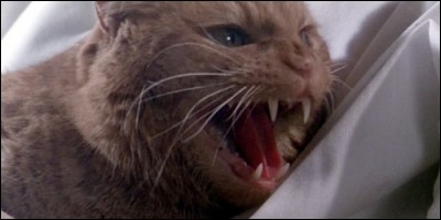 Dans "Alien, le huitième passager", comment se nomme le chat ?