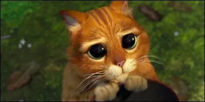 Dans quel film d'animation retrouve-t-on le Chat Potté ?