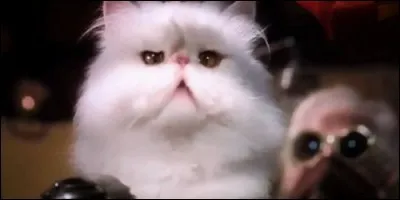 Quel adjectif convient à Mr.Tinkles dans "Comme chiens et chats" ?