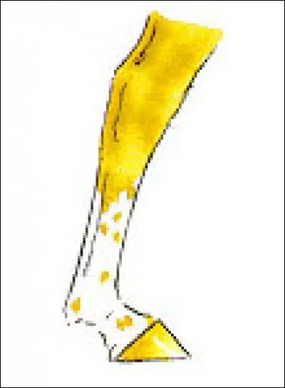 Comment s'appelle cette balzane ?