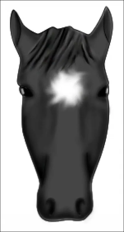 Comment s'appelle cette marque blanche ?