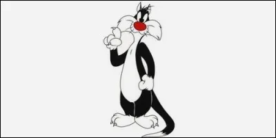 A qui Sylvestre appartient-il dans "Titi et Grosminet" ?