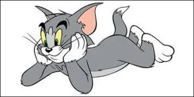 Dans "Tom et Jerry", lequel est le chat ?