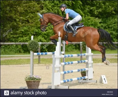 Comment appelle-t-on cet obstacle ?