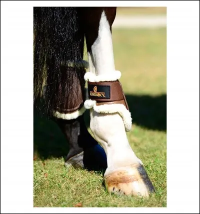 A quoi servent les protège-boulets?