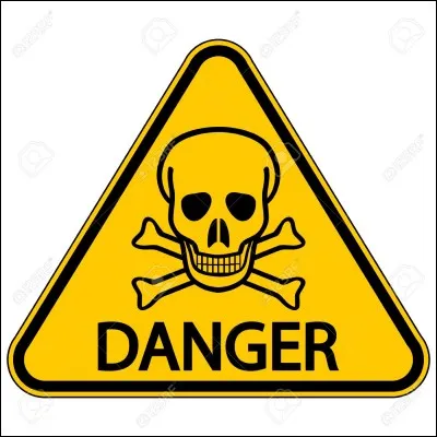 Qui a chanté "Attention danger" ?